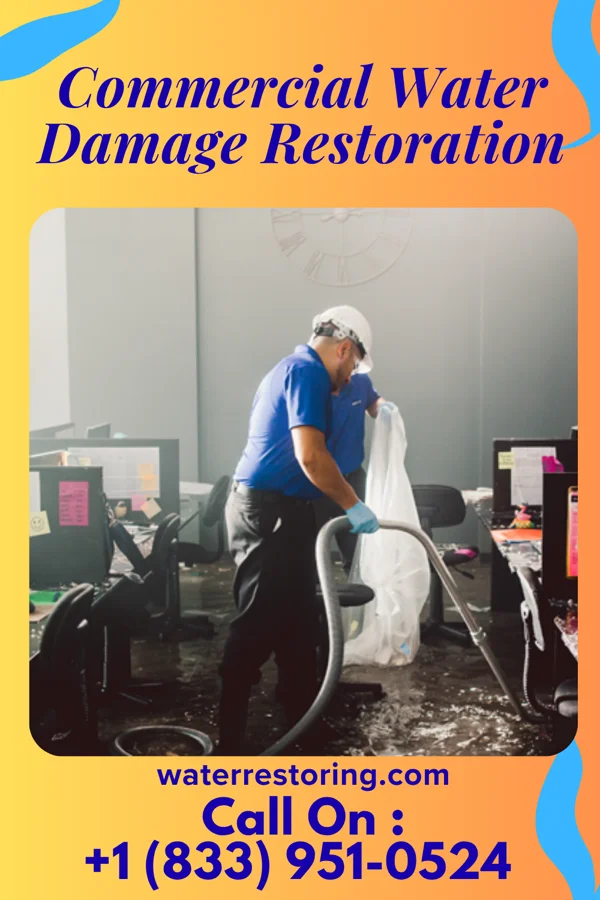 Commercial Water Damage Restoration in Montrose, GA
